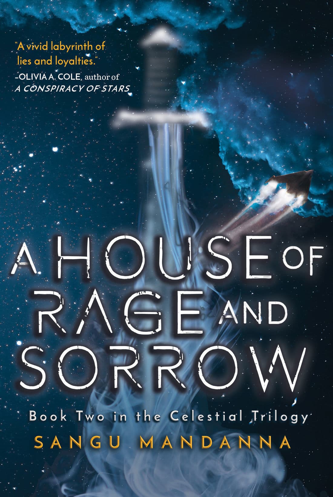 A House of Rage and Sorrow book cover