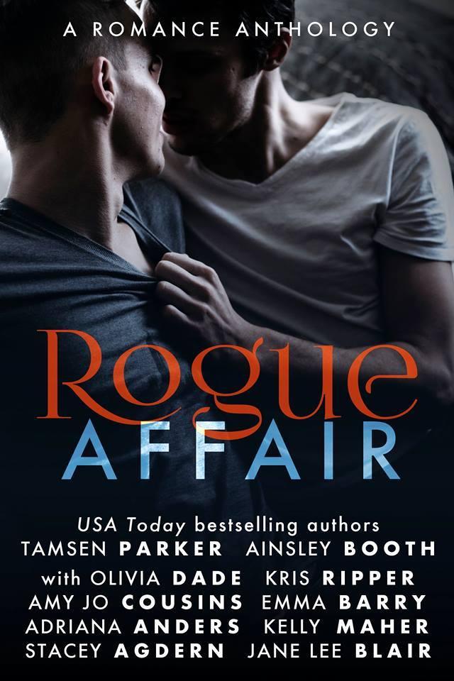 Rogue Affair book cover