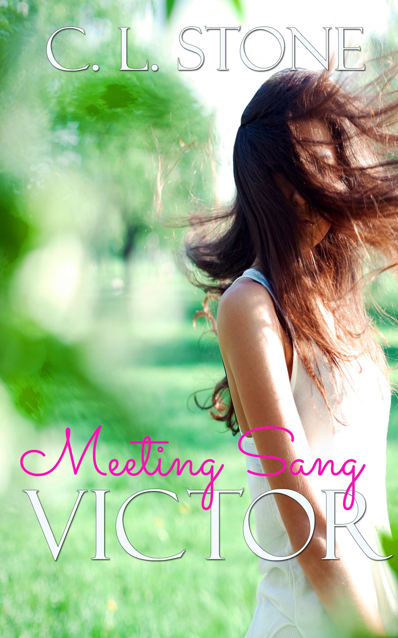 Meeting Sang: Victor book cover