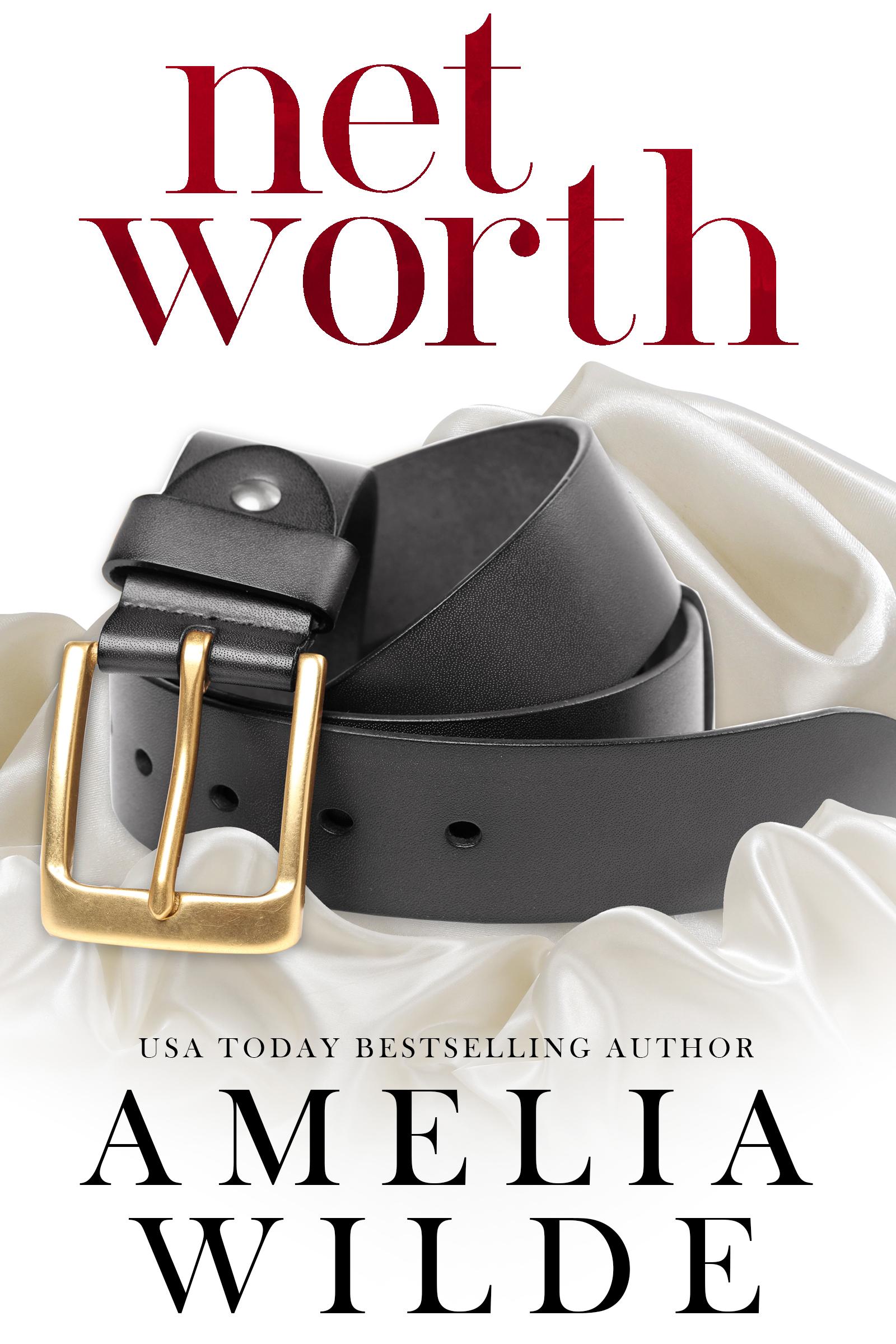 Net Worth book cover