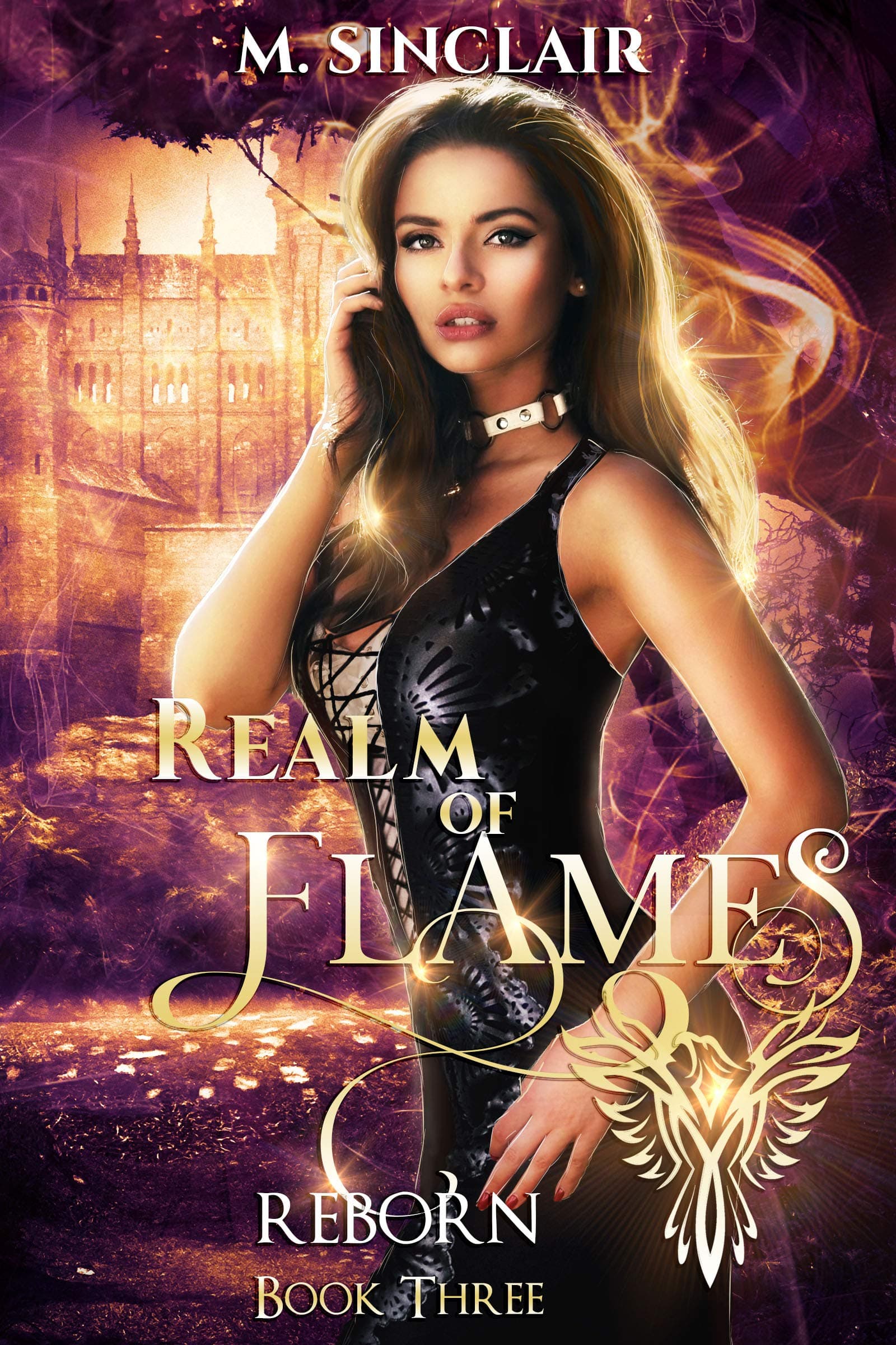 Realm of Flames book cover