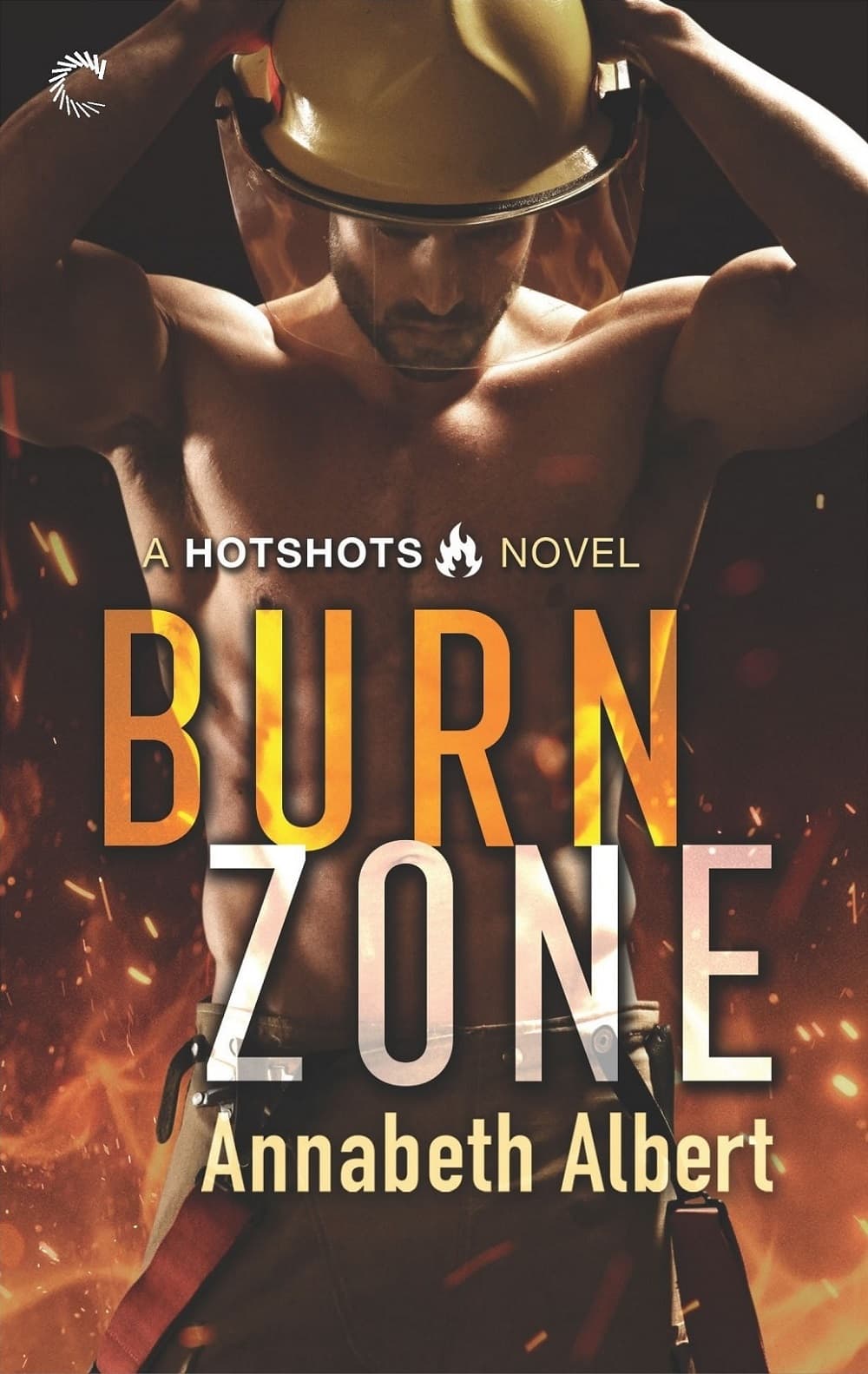 Burn Zone book cover