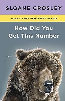 How Did You Get This Number: Essays book cover