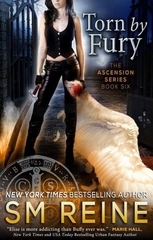 Torn by Fury book cover