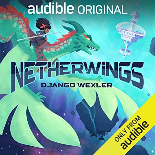 Netherwings book cover