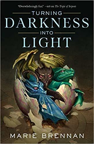 Turning Darkness Into Light book cover