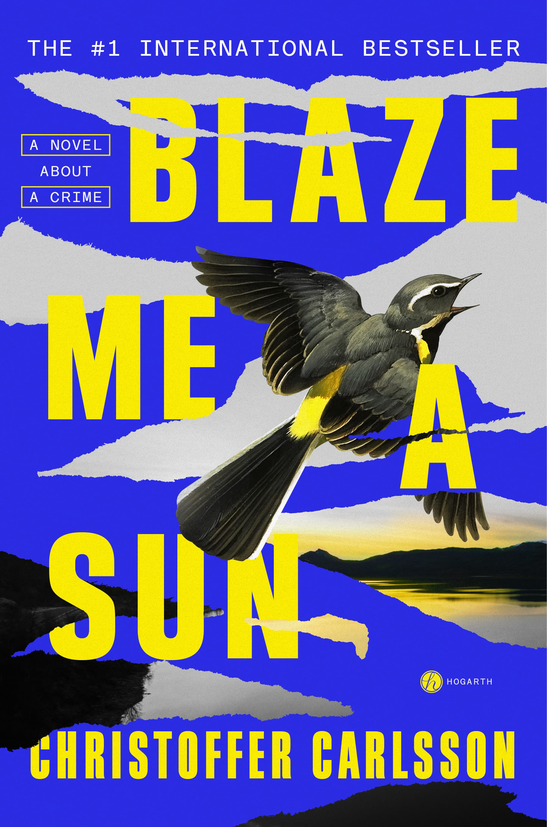 Blaze Me a Sun book cover