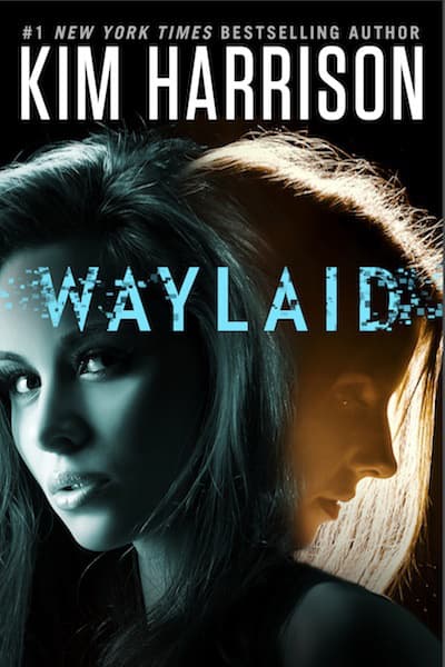 Waylaid book cover