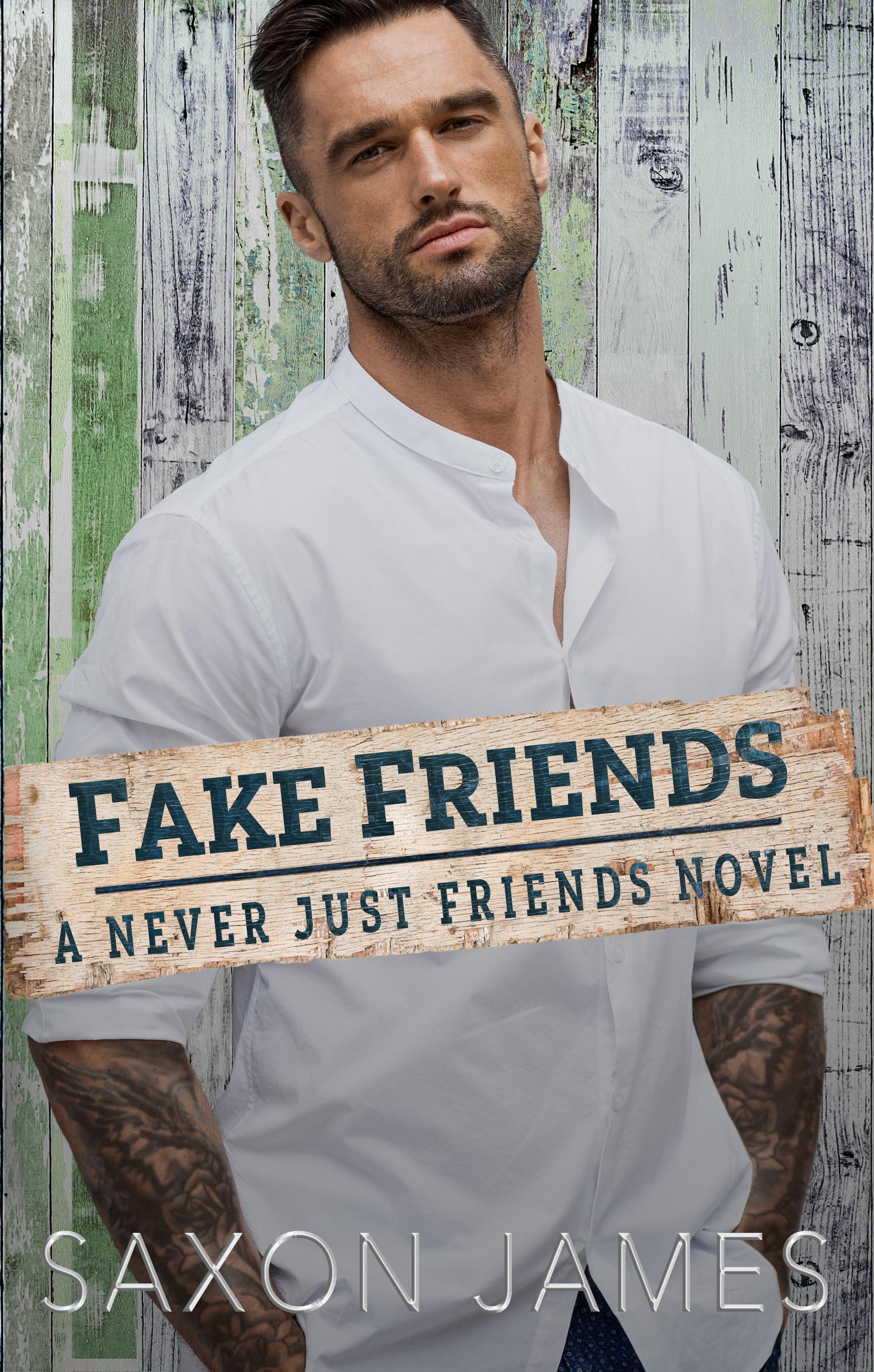 Fake Friends book cover