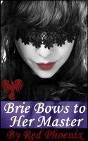 Brie Bows to Her Master book cover