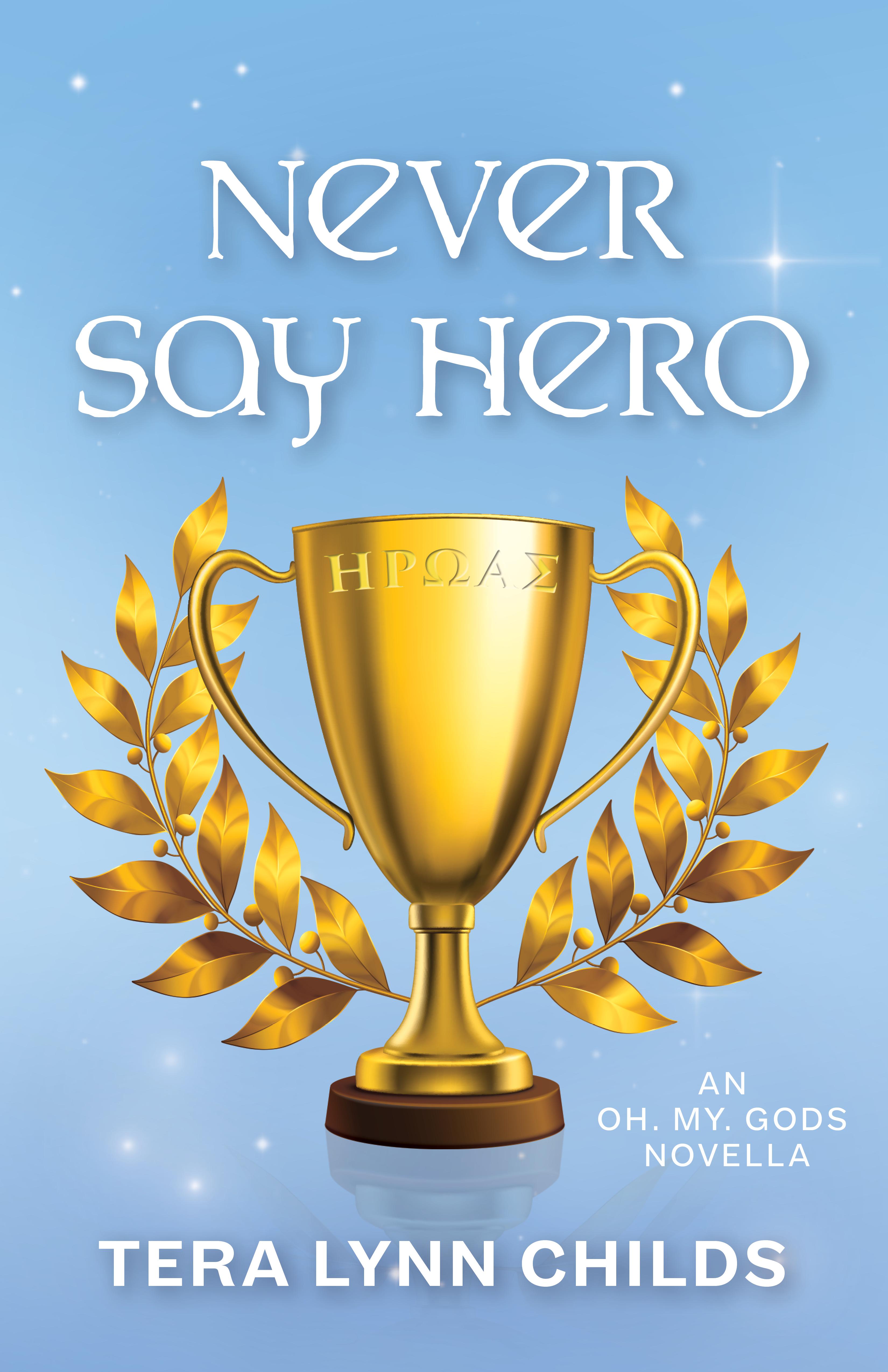 Never Say Hero book cover