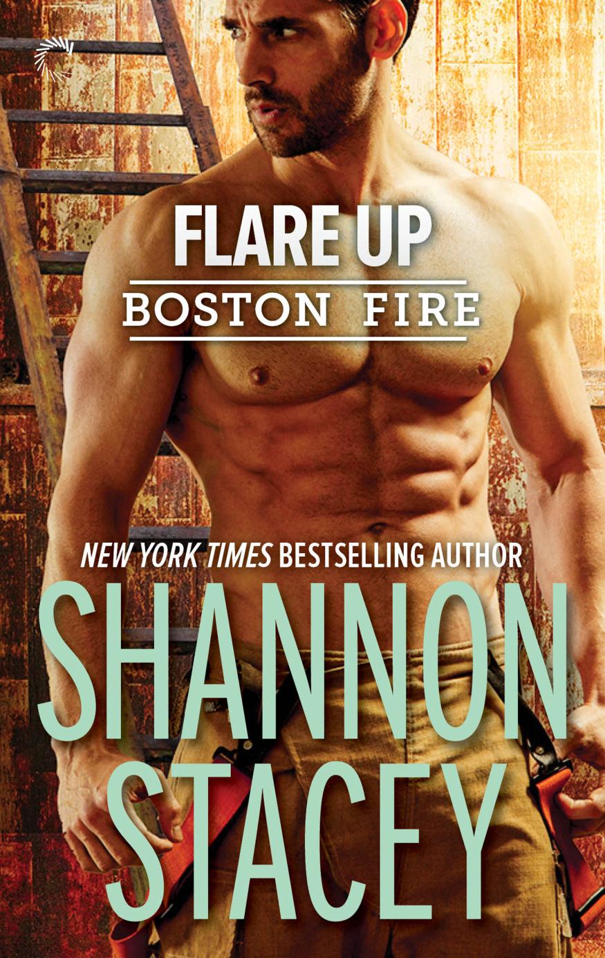 Flare Up book cover