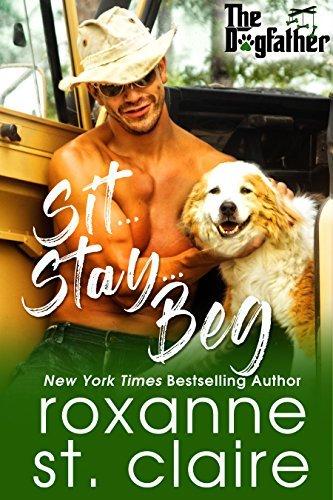 Series Book Cover Preview