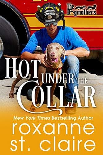 Hot Under the Collar book cover