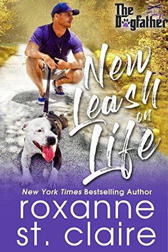 Series Book Cover Preview