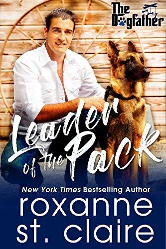 Series Book Cover Preview