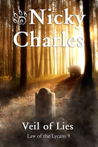 Veil of Lies book cover