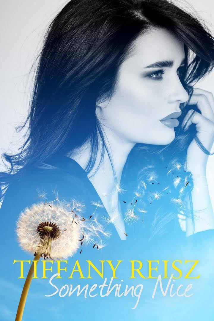 Something Nice book cover