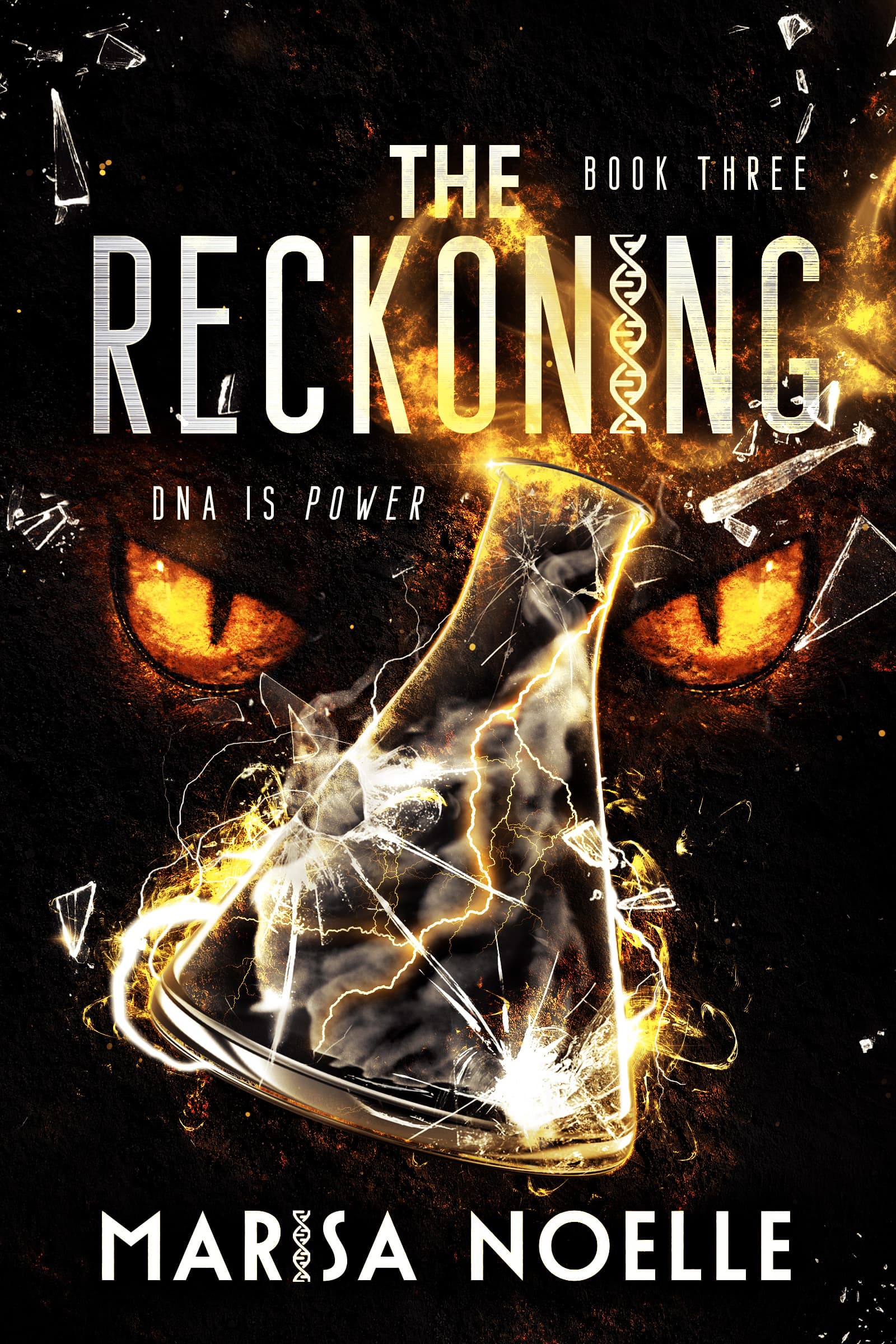 The Reckoning book cover