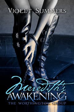 Meredith's Awakening book cover