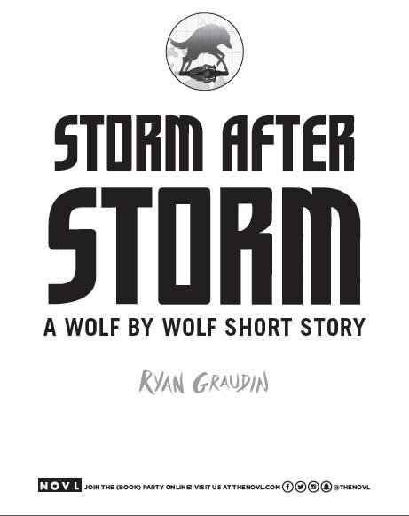 Storm After Storm book cover
