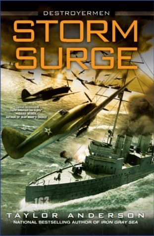Storm Surge book cover