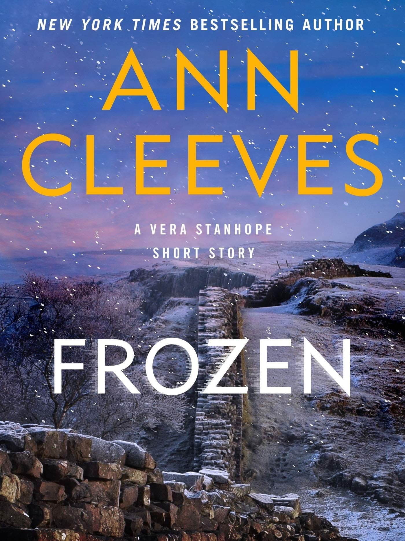 Frozen book cover
