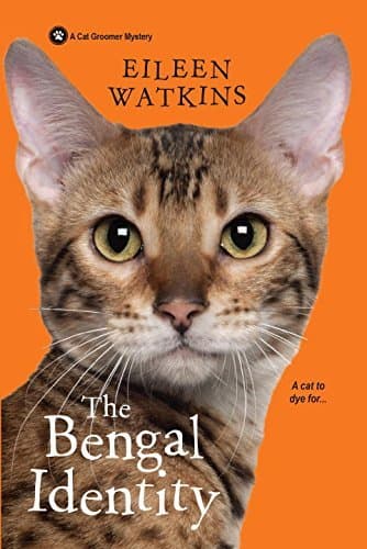 The Bengal Identity book cover