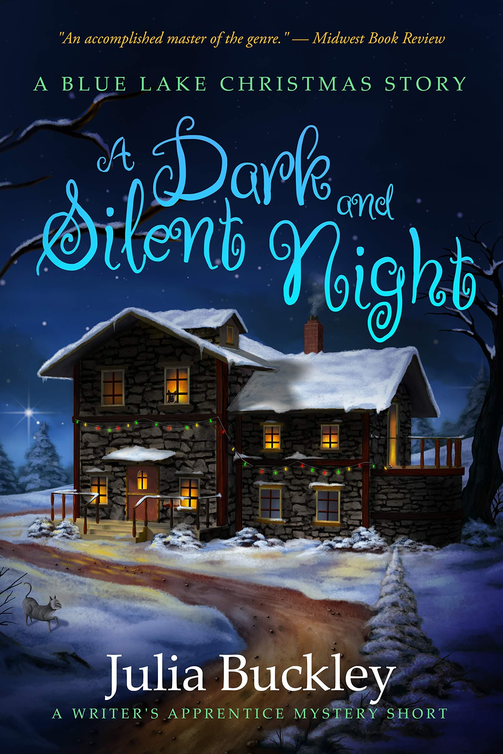 A Dark and Silent Night book cover