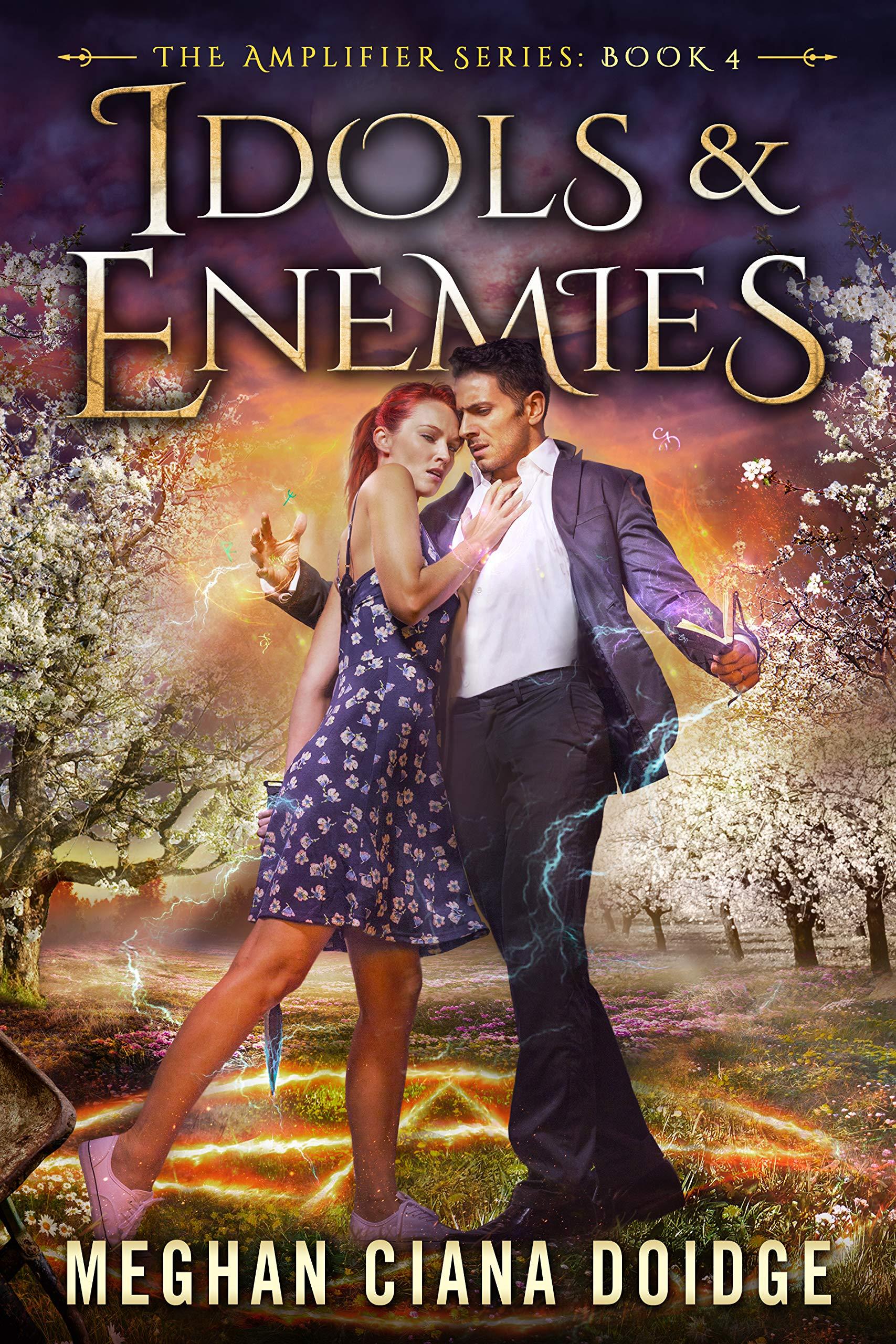 Idols and Enemies book cover