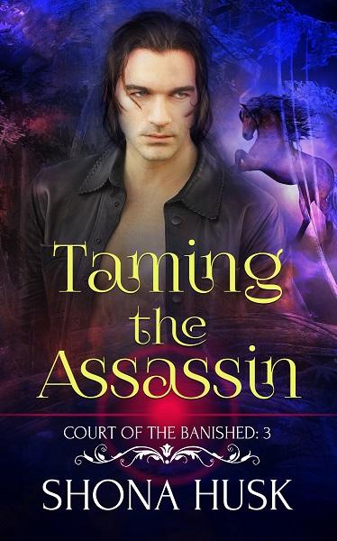 Taming the Assassin book cover