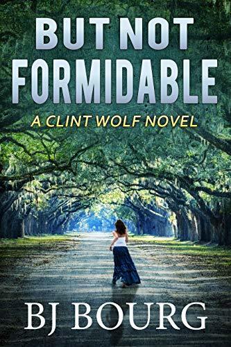But Not Formidable book cover