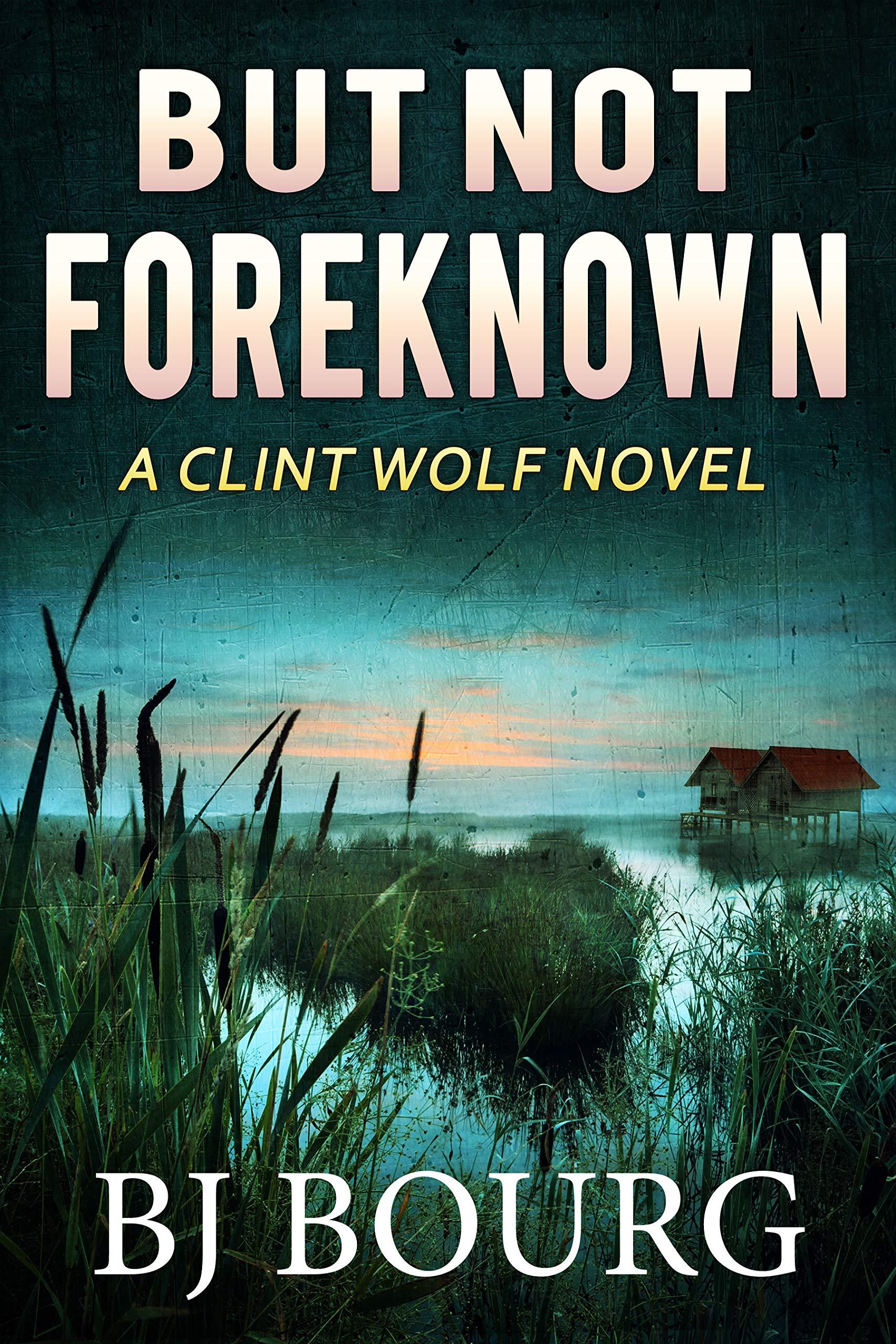 But Not Foreknown book cover