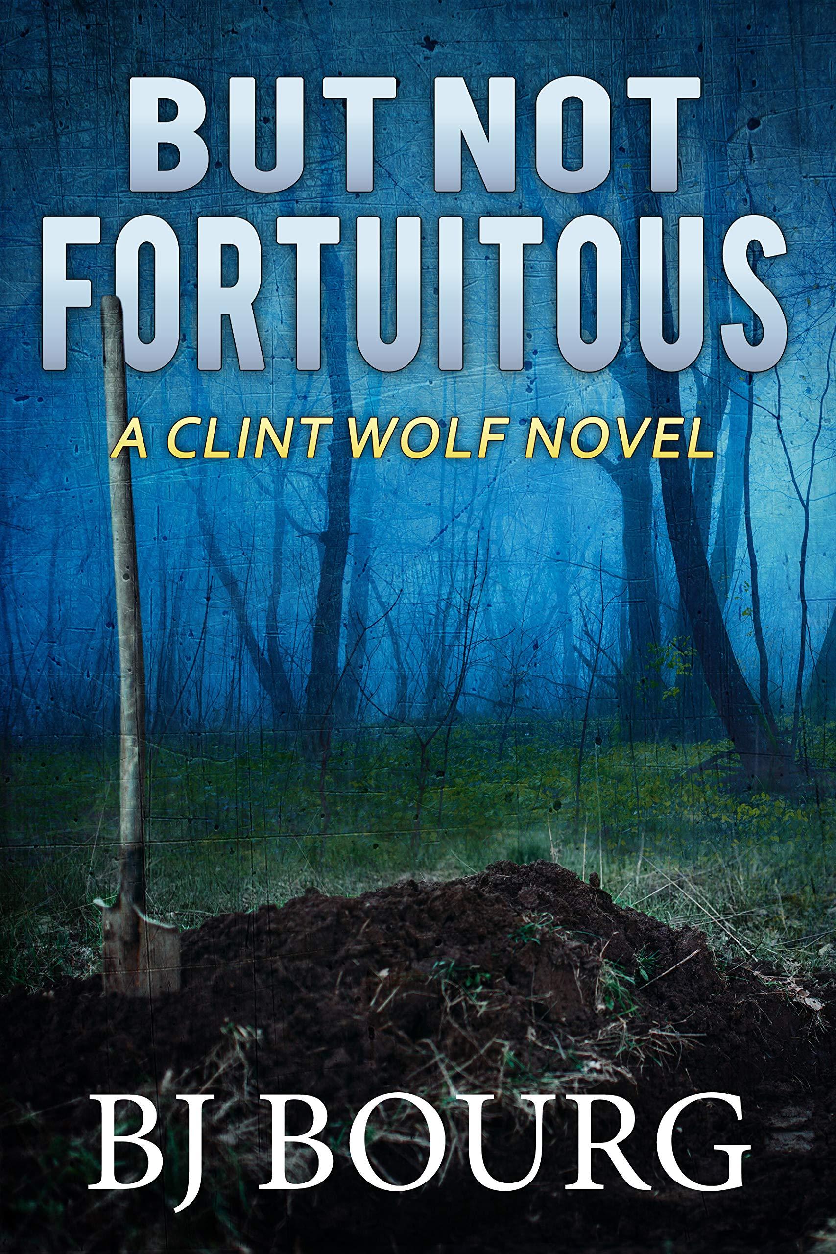 But Not Fortuitous book cover