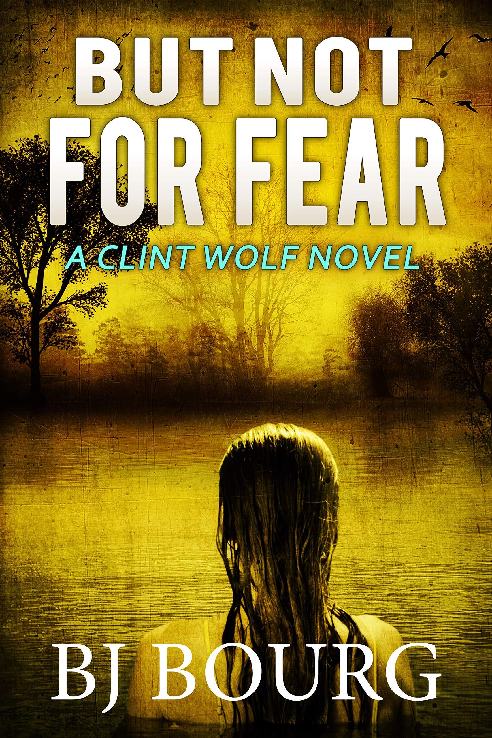 But Not For Fear book cover
