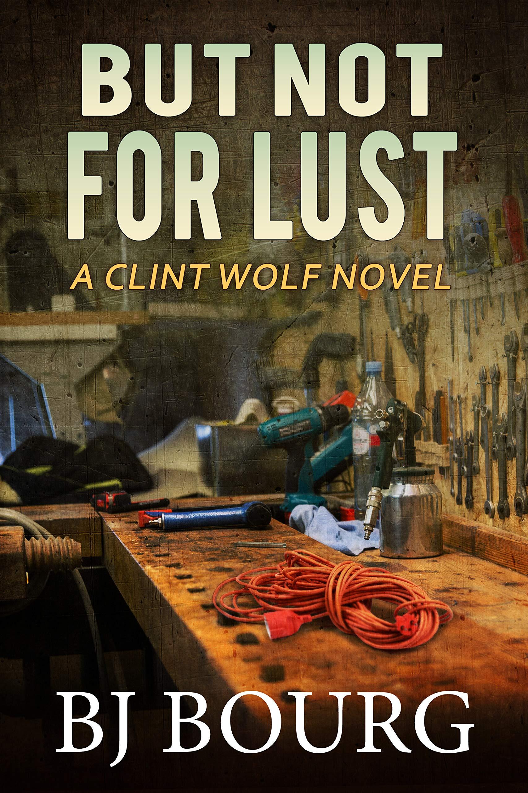 But Not For Lust book cover