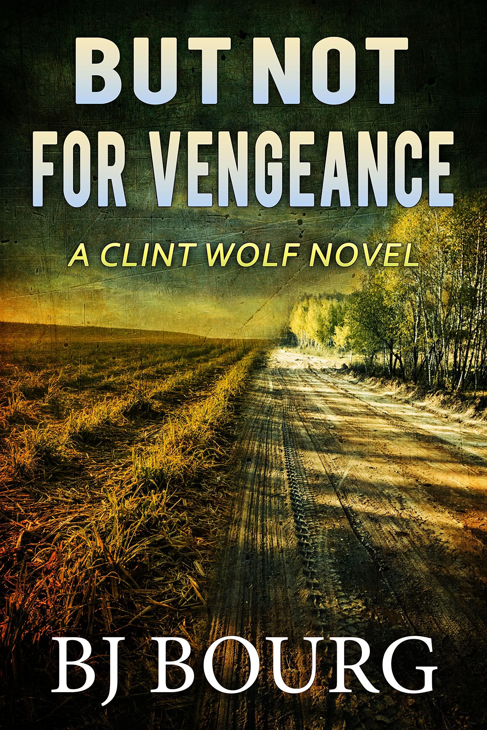 But Not For Vengeance book cover