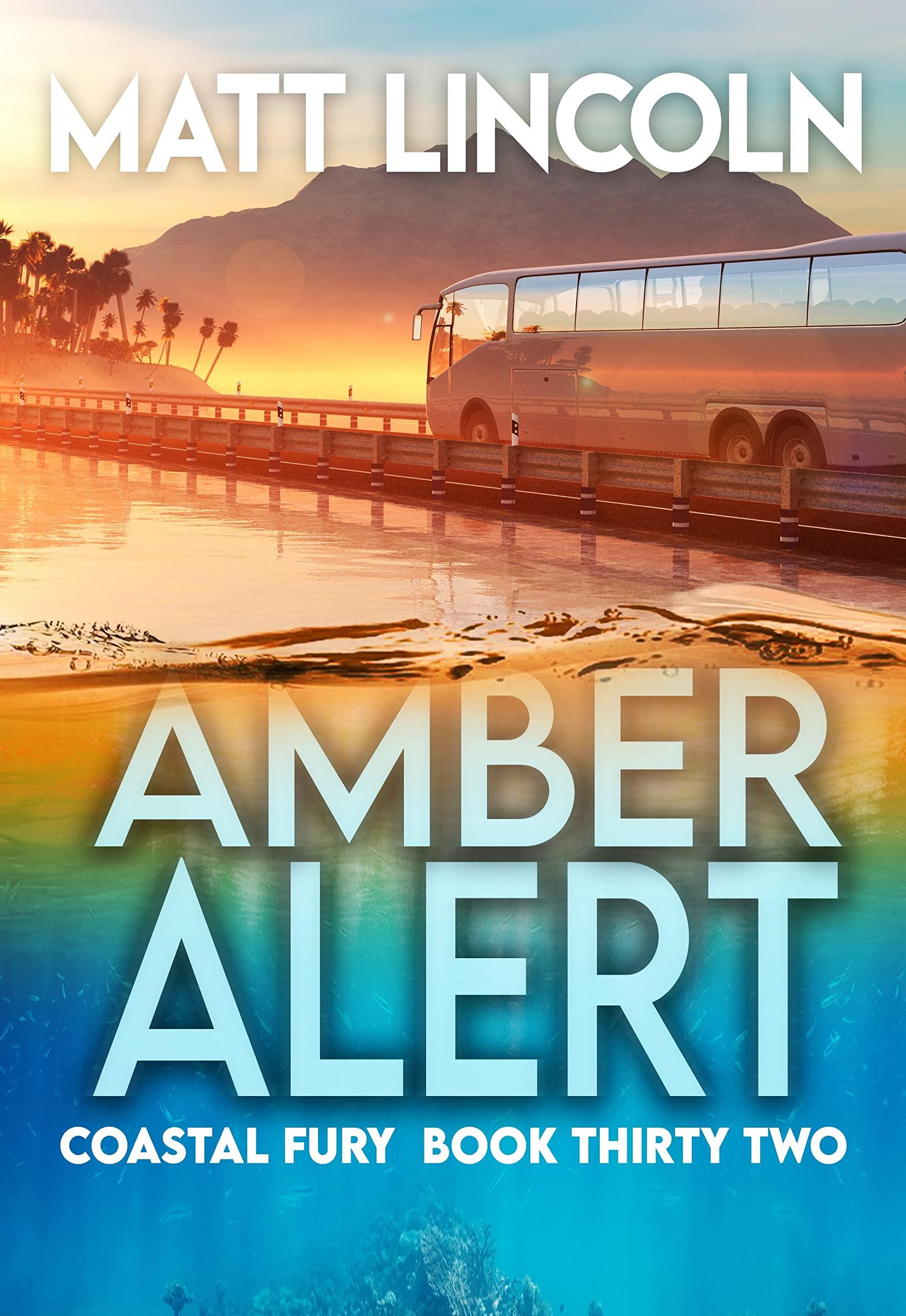 Amber Alert book cover