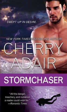 Stormchaser book cover