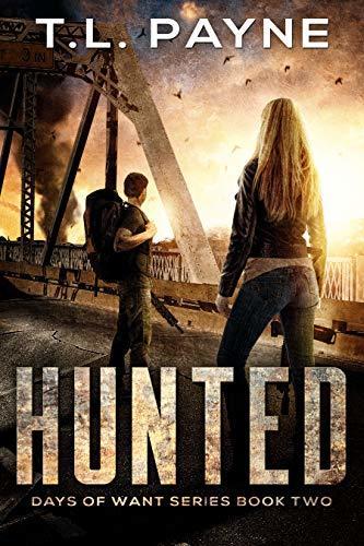 Series Book Cover Preview
