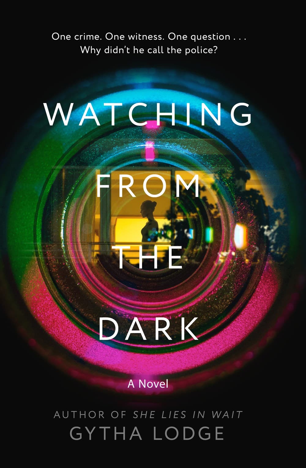 Watching from the Dark book cover