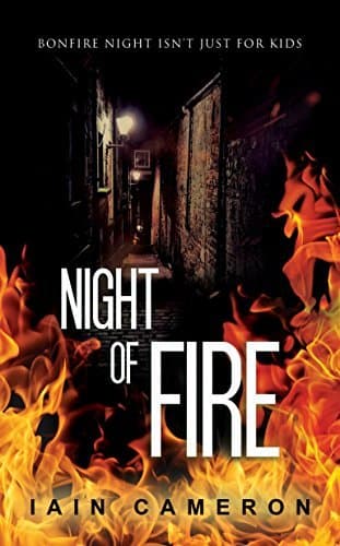 Night of Fire book cover