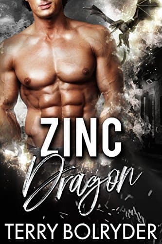 Zinc Dragon book cover