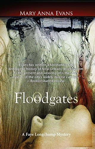 Floodgates book cover