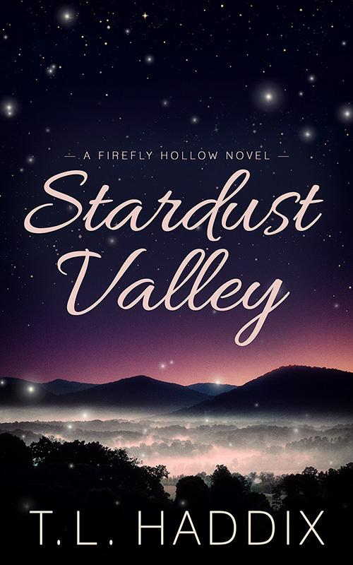 Stardust Valley book cover