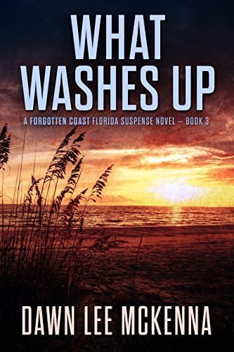 What Washes Up book cover