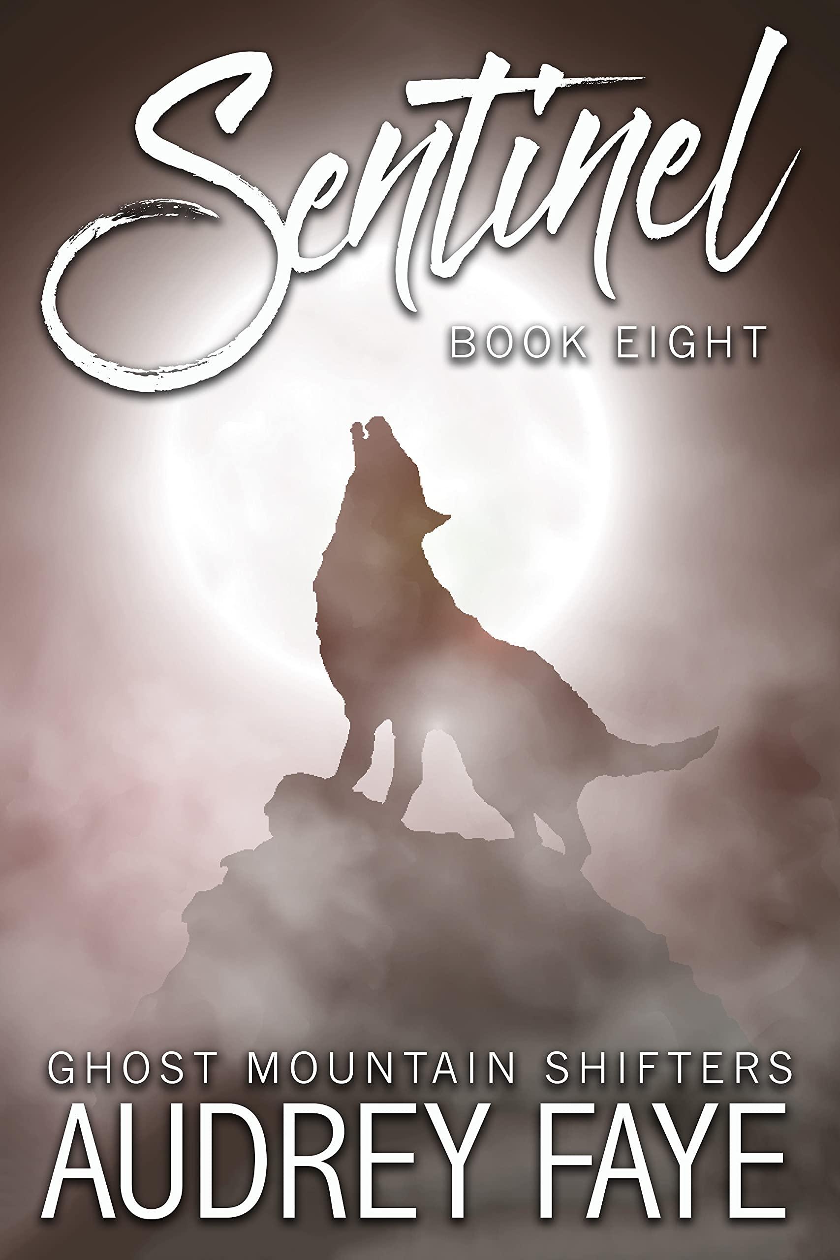 Sentinel book cover