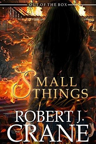 Small Things book cover