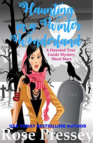 Haunting in a Winter Wonderland book cover