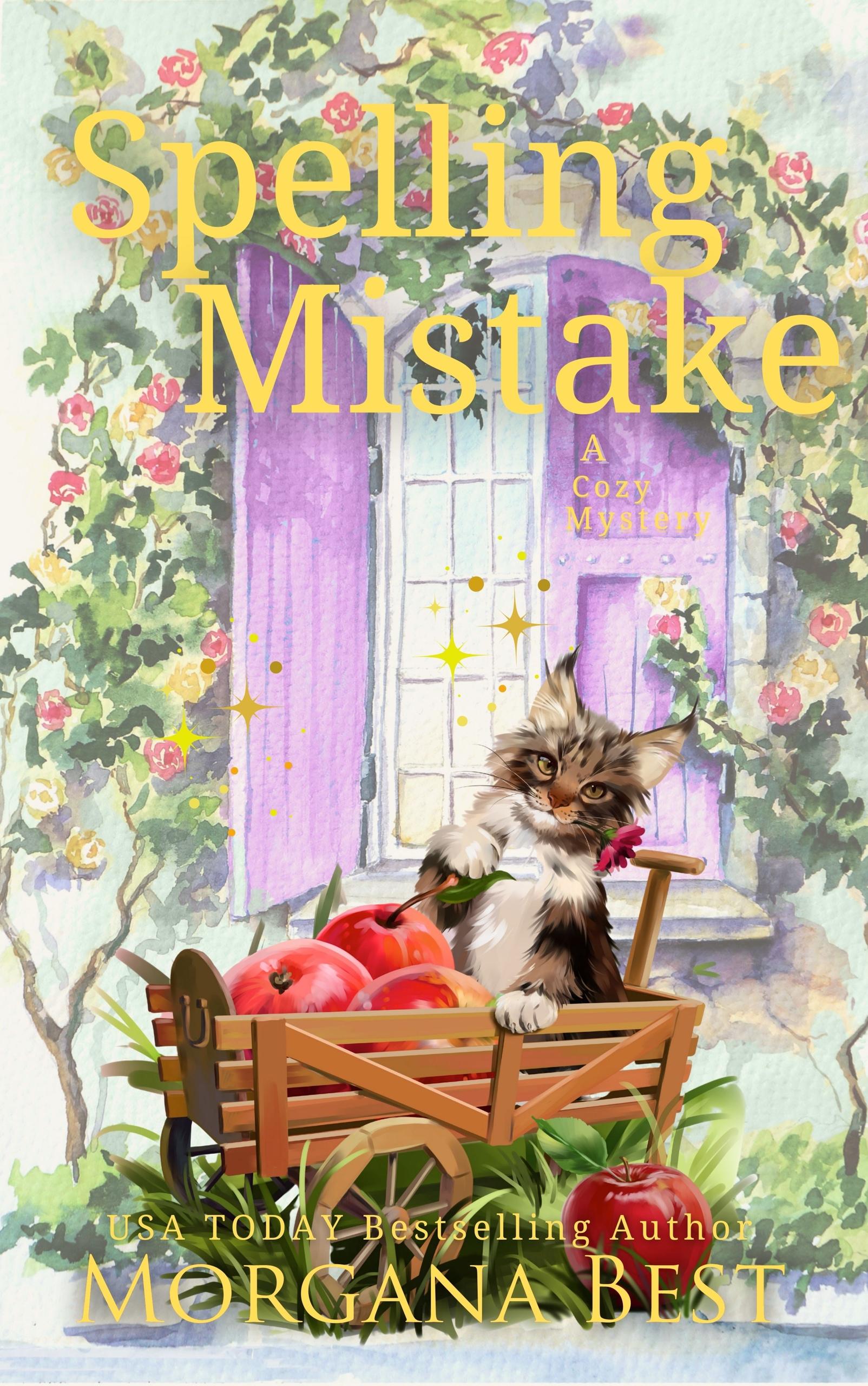 Spelling Mistake book cover